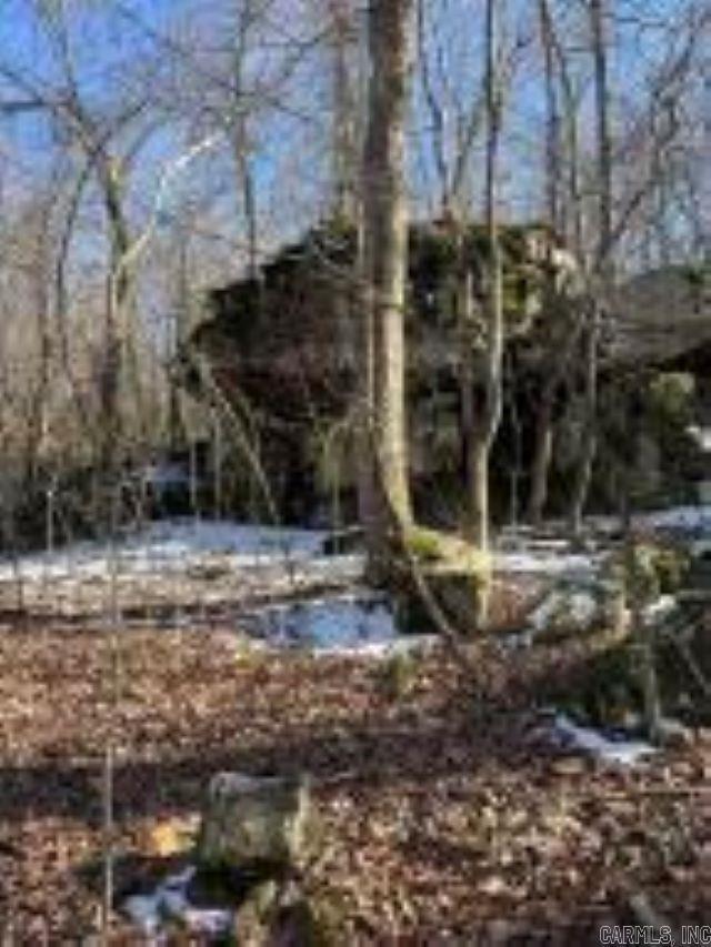 Whiskey Creek Ln, Batesville, AR 72501