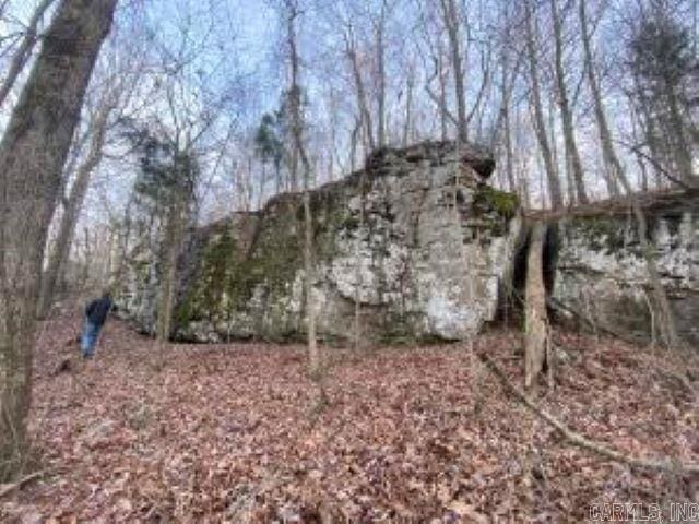 Whiskey Creek Ln, Batesville, AR 72501