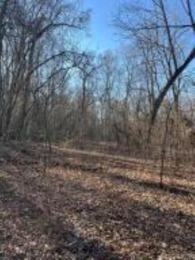 Whiskey Creek Ln, Batesville, AR 72501