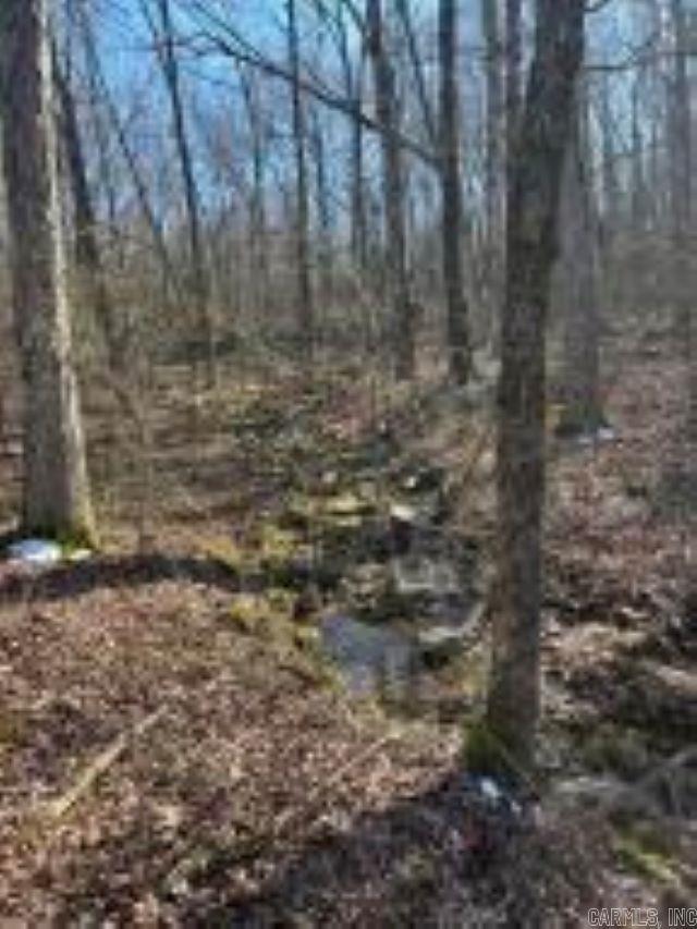 Whiskey Creek Ln, Batesville, AR 72501
