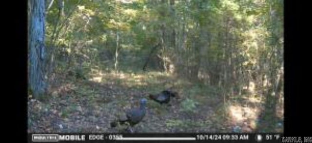 Whiskey Creek Ln, Batesville, AR 72501