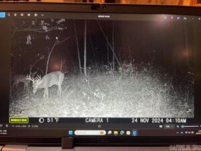 Whiskey Creek Ln, Batesville, AR 72501