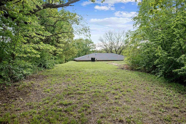 view of yard with a forest view