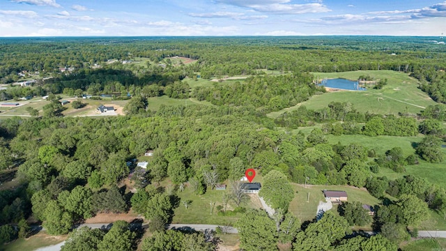 bird's eye view with a water view and a view of trees