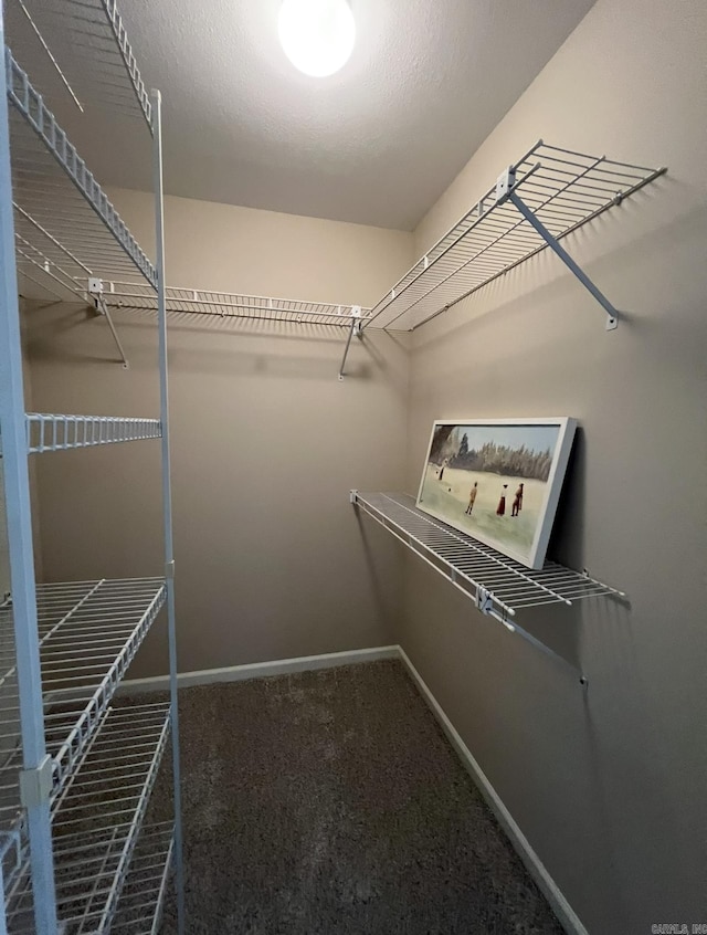walk in closet featuring carpet floors