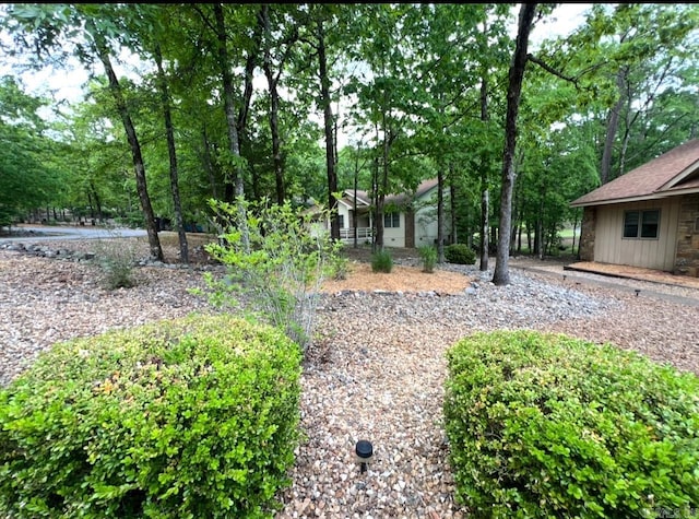 view of yard