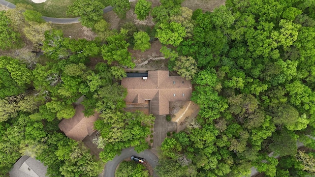 bird's eye view