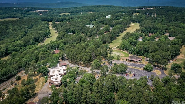 135 Hillview Dr Unit 109, Fairfield Bay, AR 72088 - drone / aerial view with a view of trees