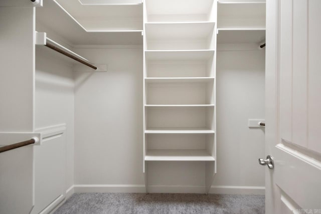 2360 Lakeshore Ln, Cabot, AR 72023 - walk in closet with carpet floors