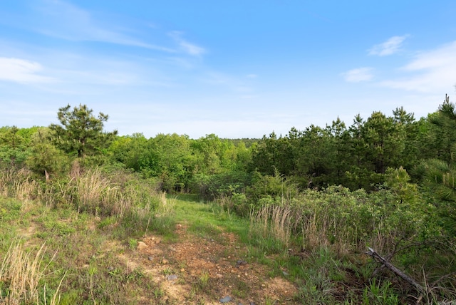 view of landscape with a forest view