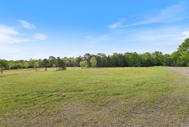 view of yard featuring a rural view and a forest view