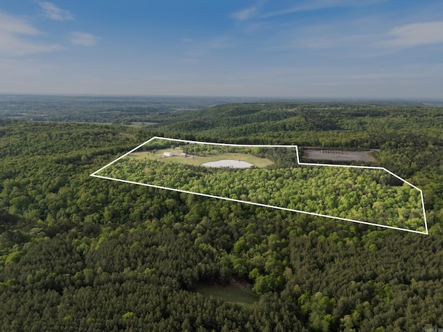 bird's eye view with a wooded view