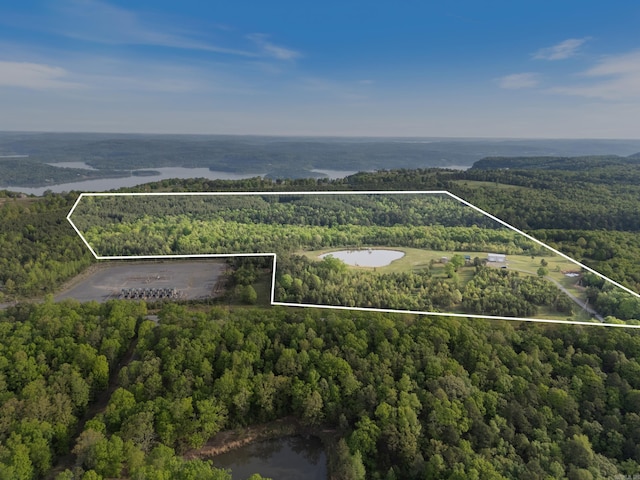 bird's eye view with a wooded view