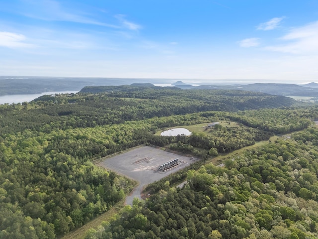 drone / aerial view with a water view and a view of trees