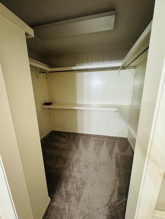 22 Azalea, Magnolia, AR 71753 - spacious closet featuring carpet floors