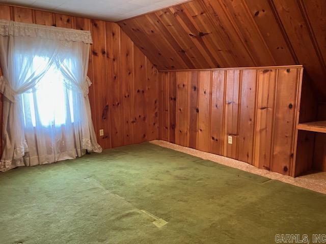 bonus room featuring wooden walls, carpet, and lofted ceiling