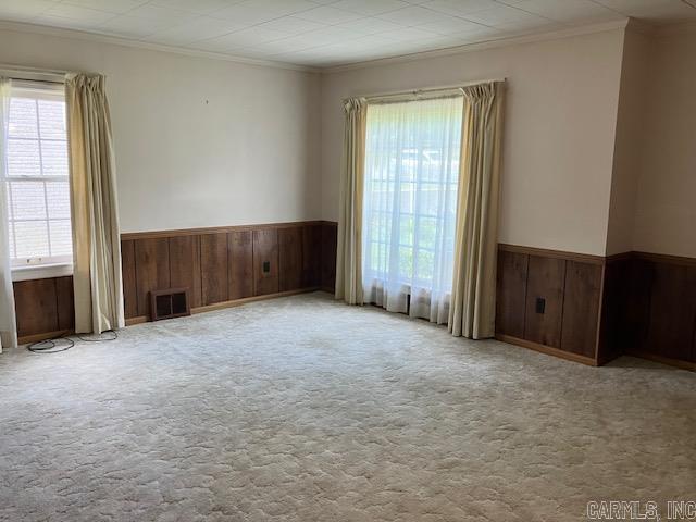 carpeted spare room with a wainscoted wall, a wealth of natural light, wooden walls, and crown molding