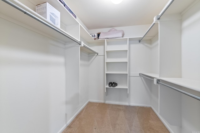 walk in closet with light colored carpet