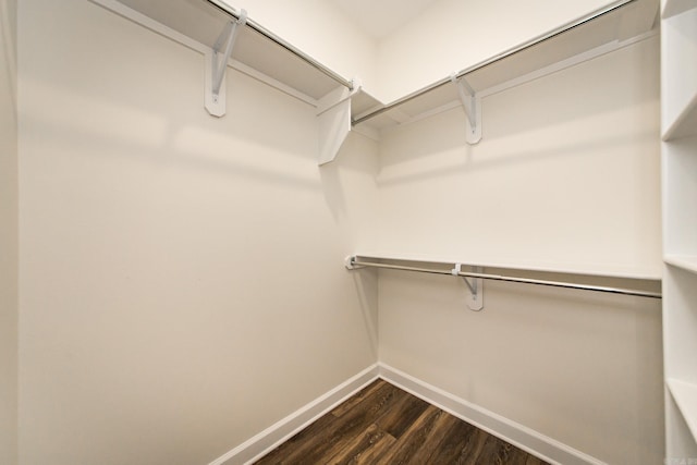 spacious closet with dark wood-style flooring