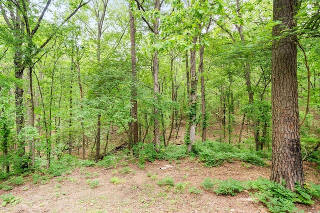 73 Perralena Way, Hot Springs Village, AR 71909 - view of landscape featuring a wooded view