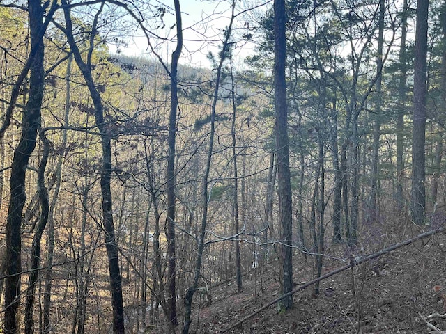 1071 Hwy 375 E, Mena, AR 71953