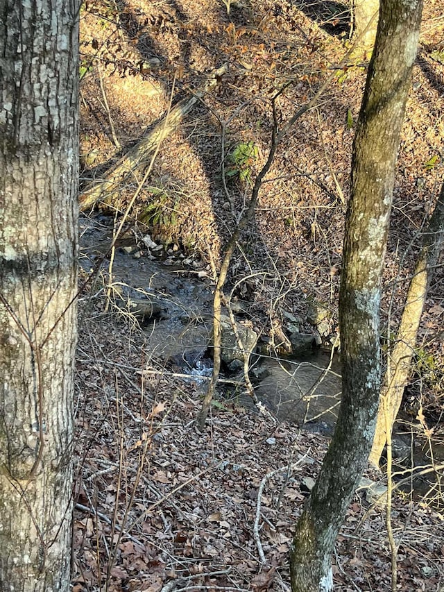 1071 Hwy 375 E, Mena, AR 71953