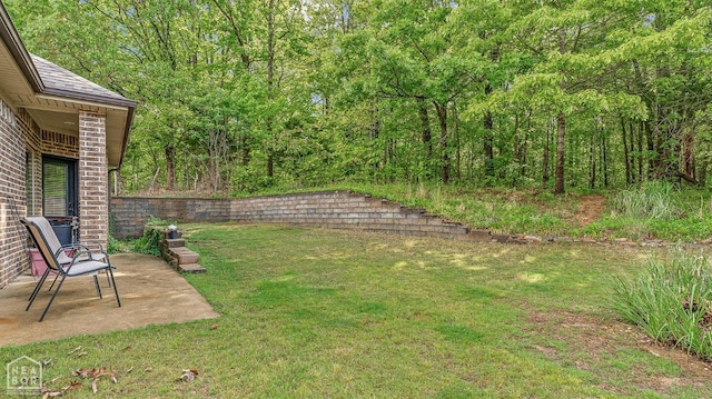 view of yard with a patio