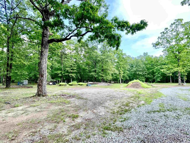 view of yard with a forest view