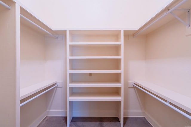 view of walk in closet