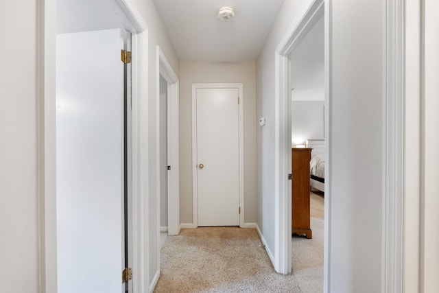 hall featuring baseboards and carpet flooring