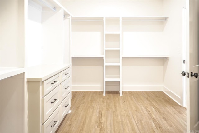 walk in closet featuring light wood-style flooring