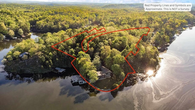 drone / aerial view featuring a wooded view and a water view