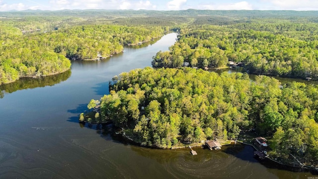 bird's eye view featuring a water view and a view of trees