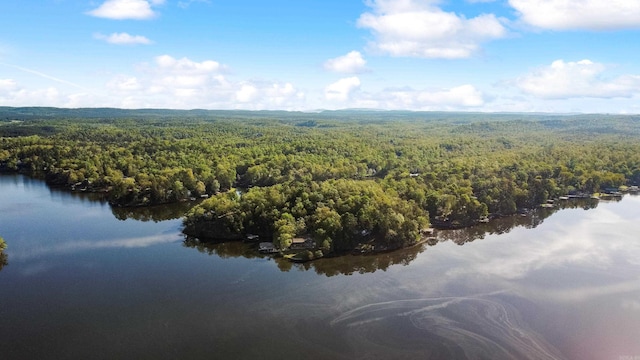 aerial view with a wooded view and a water view