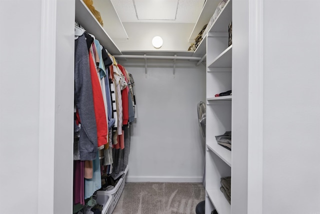 walk in closet featuring carpet floors