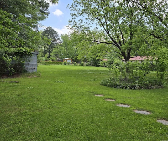604 N Grand Ave, Mcrae, AR 72102 - view of yard