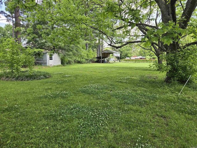 604 N Grand Ave, Mcrae, AR 72102 - view of yard