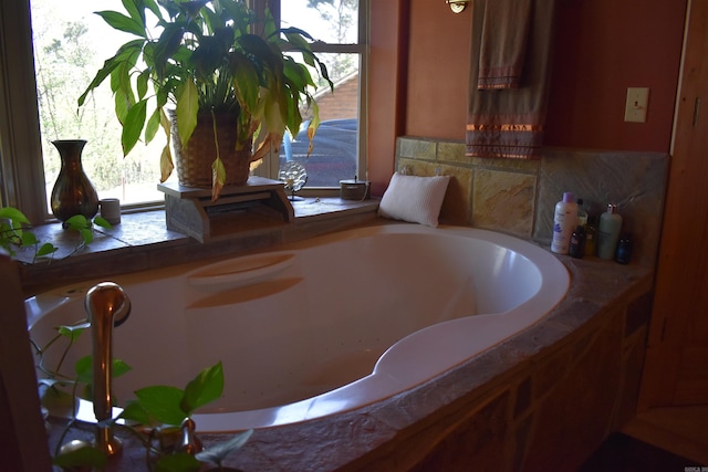 12192 Point Breeze Rd, Parks, AR 72950 - bathroom with a bathing tub