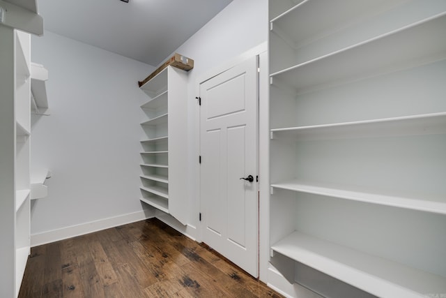 spacious closet featuring dark wood-type flooring