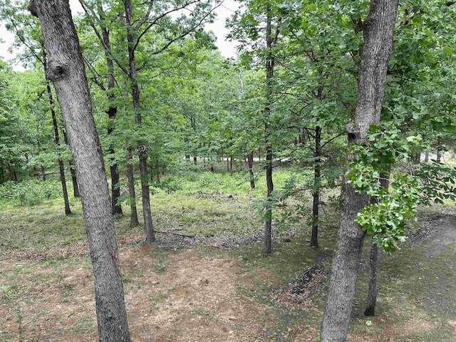 view of nature featuring a forest view