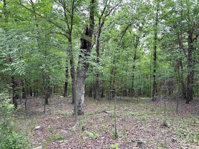 view of local wilderness featuring a forest view