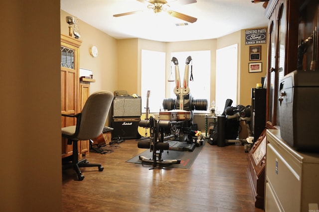 3302 Willow Ln, Paragould, AR 72450 - office featuring a wealth of natural light, ceiling fan, wood finished floors, and visible vents