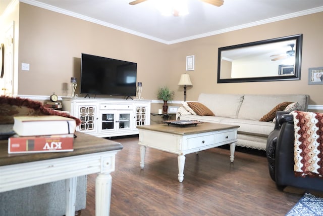 3302 Willow Ln, Paragould, AR 72450 - living room featuring crown molding, a ceiling fan, and wood finished floors