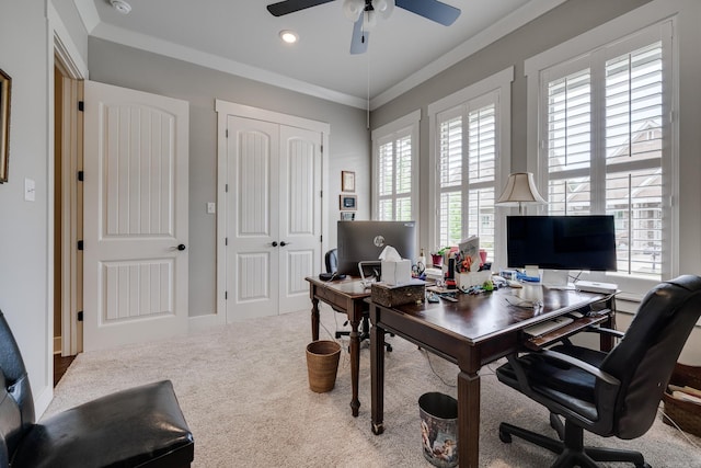 office with crown molding, ceiling fan, and carpet