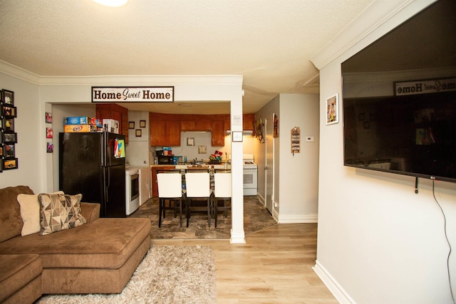 living area with baseboards, a textured ceiling, light wood-style flooring, and crown molding