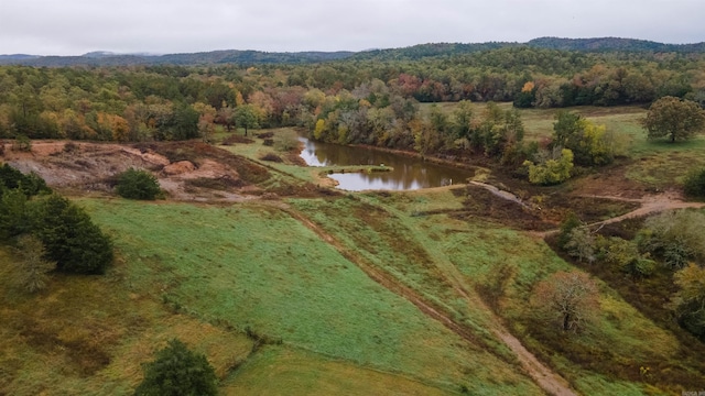 190 Polk Road 624, Mena, AR 71953 - birds eye view of property featuring a water view and a wooded view