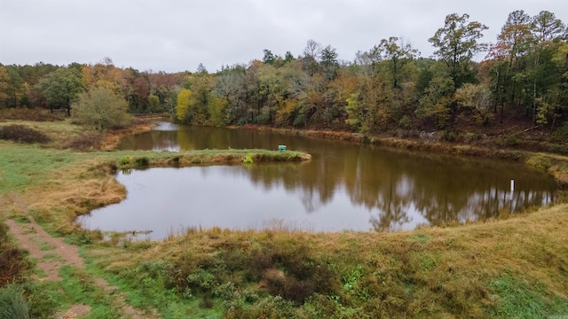 190 Polk Road 624, Mena, AR 71953 - property view of water with a forest view