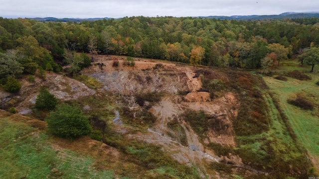 190 Polk Road 624, Mena, AR 71953 - drone / aerial view featuring a wooded view