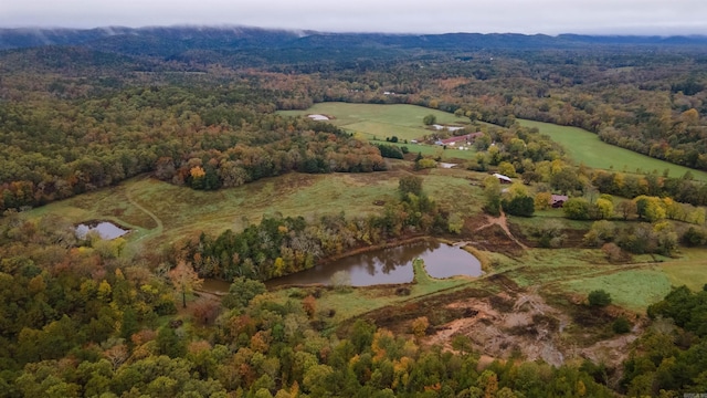 190 Polk Road 624, Mena, AR 71953 - birds eye view of property featuring a view of trees and a water view