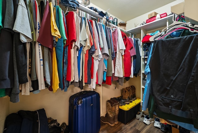 spacious closet featuring radiator heating unit and wood finished floors